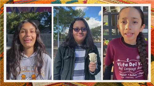 Student Voices